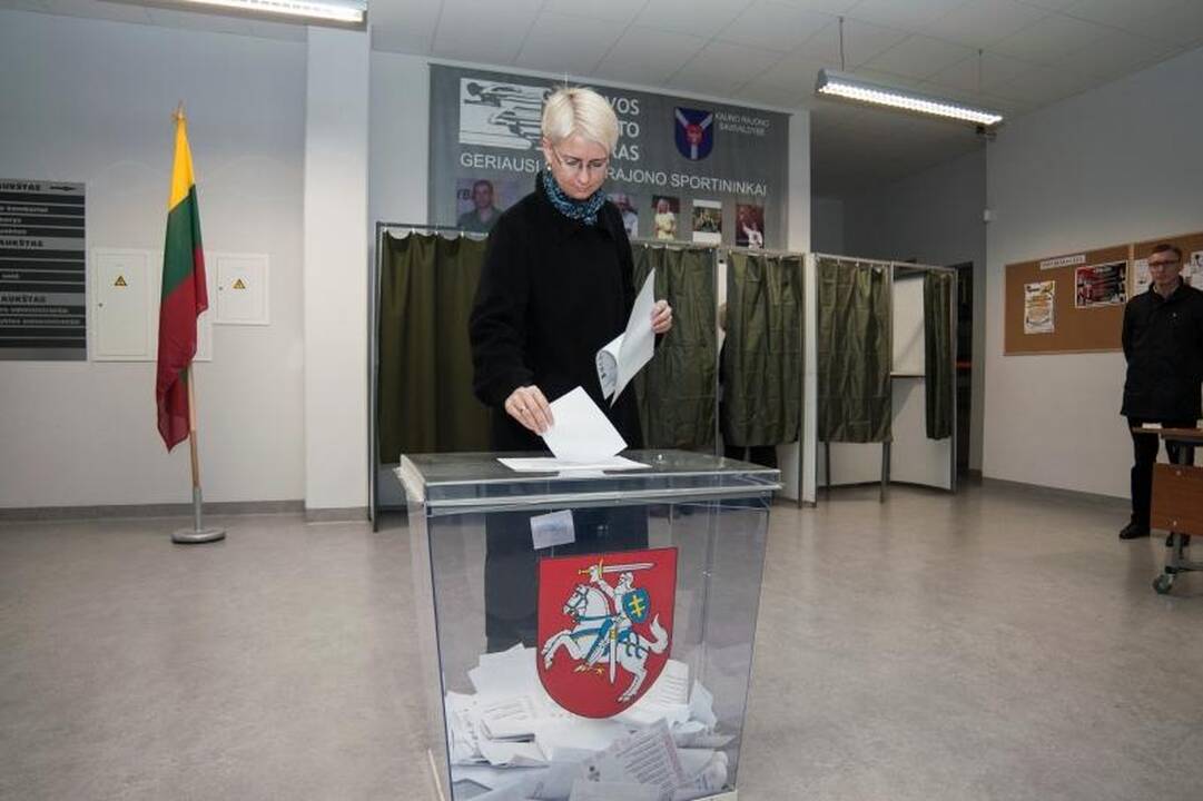Kaune balsavęs V.Romanovas pastebėjo pažeidimą