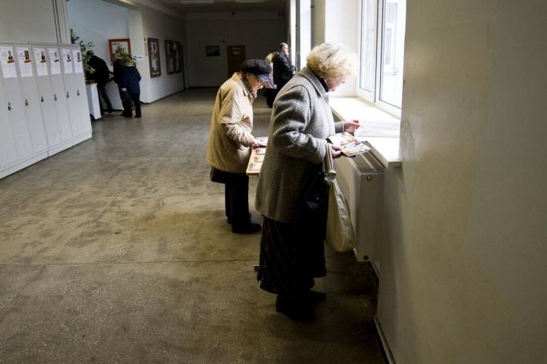 Kaune balsavęs V.Romanovas pastebėjo pažeidimą