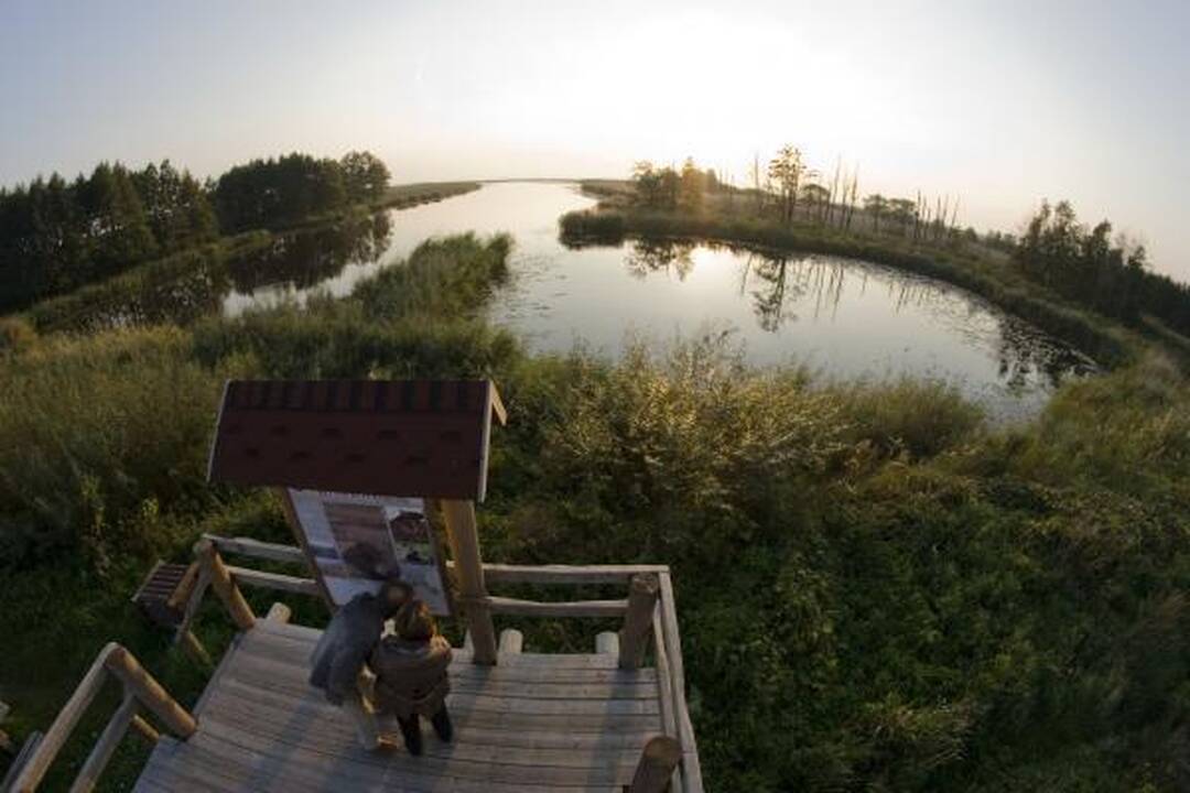 Savaitgalio planas: Migruojantys paukščiai. Ventė