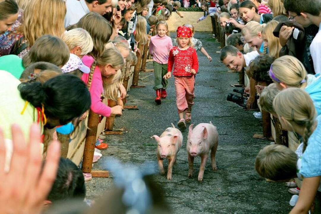 Hanzos dienų akcentai - naktinis ugnies šou ir oro balionų fiesta
