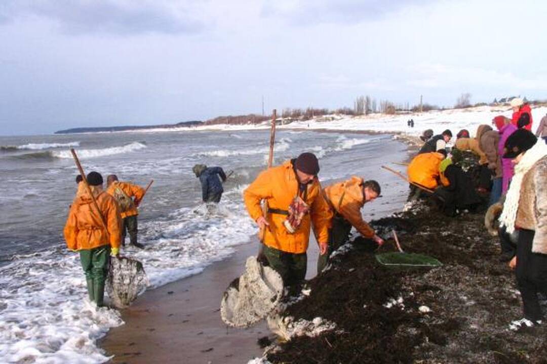 Iš Baltijos jūros plūstelėjo gintarai