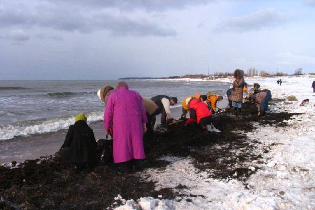Iš Baltijos jūros plūstelėjo gintarai