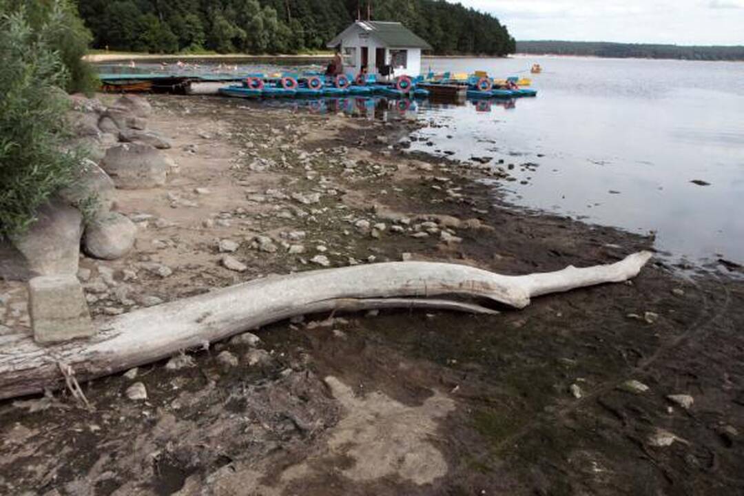 Dėl sausros nuseko Kauno marios