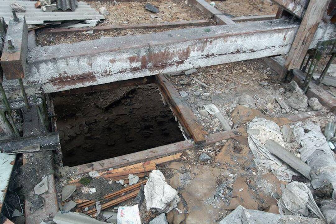 Per liūtį Vilniuje nukrito darbininkas
