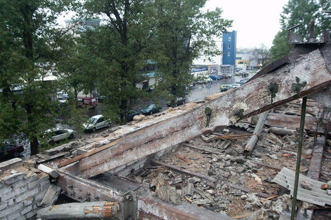 Per liūtį Vilniuje nukrito darbininkas