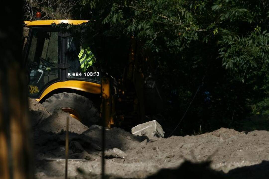 Sereikiškių parko rekonstrukcijai - trijų statybininkų brigada