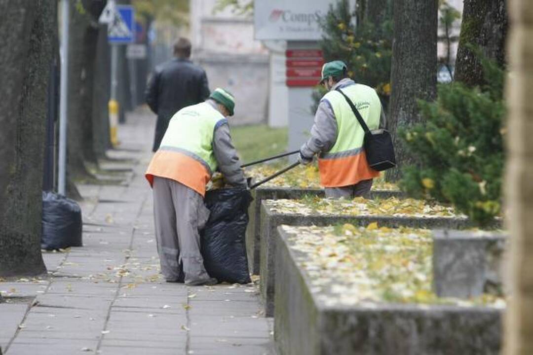 Baikerių sezono uždaryme – keptas šernas
