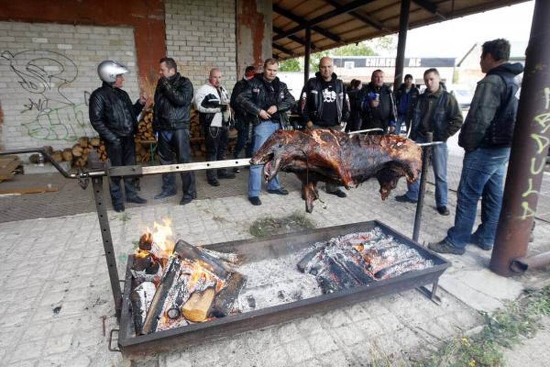 Baikerių sezono uždaryme – keptas šernas