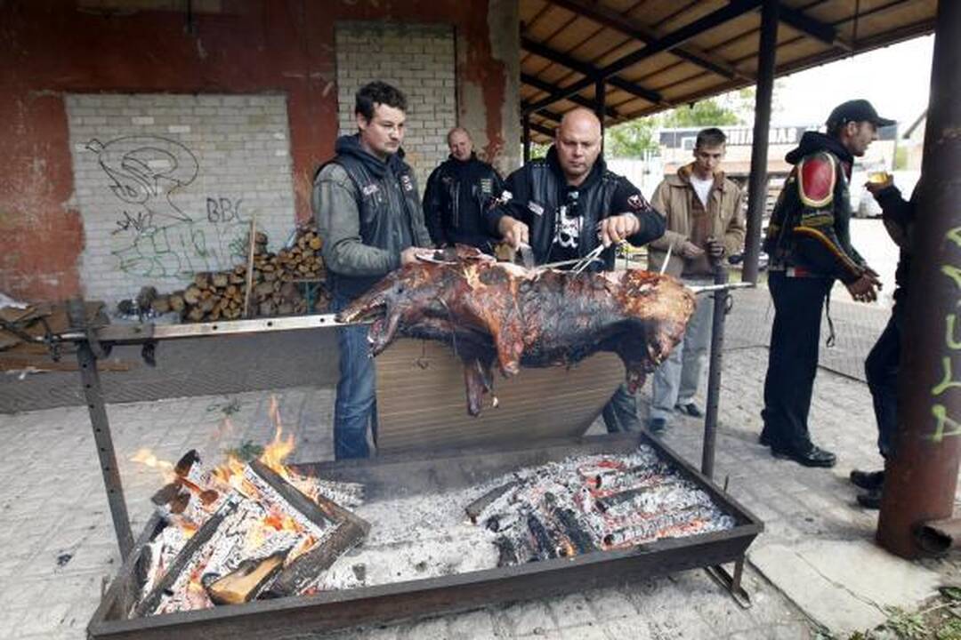 Baikerių sezono uždaryme – keptas šernas