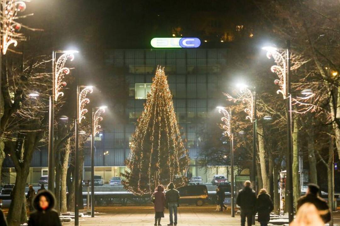Laisvės alėjoje sužibo studentų dabinta eglė