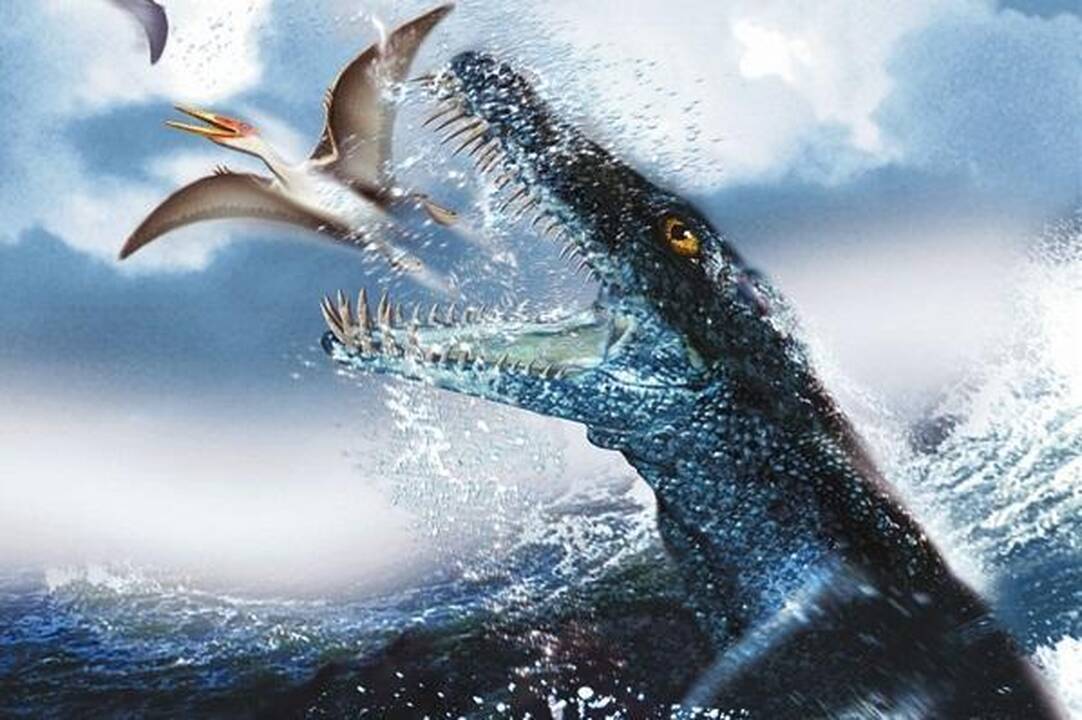 15 būtybių, kurių tikriausiai niekada nesutiksite