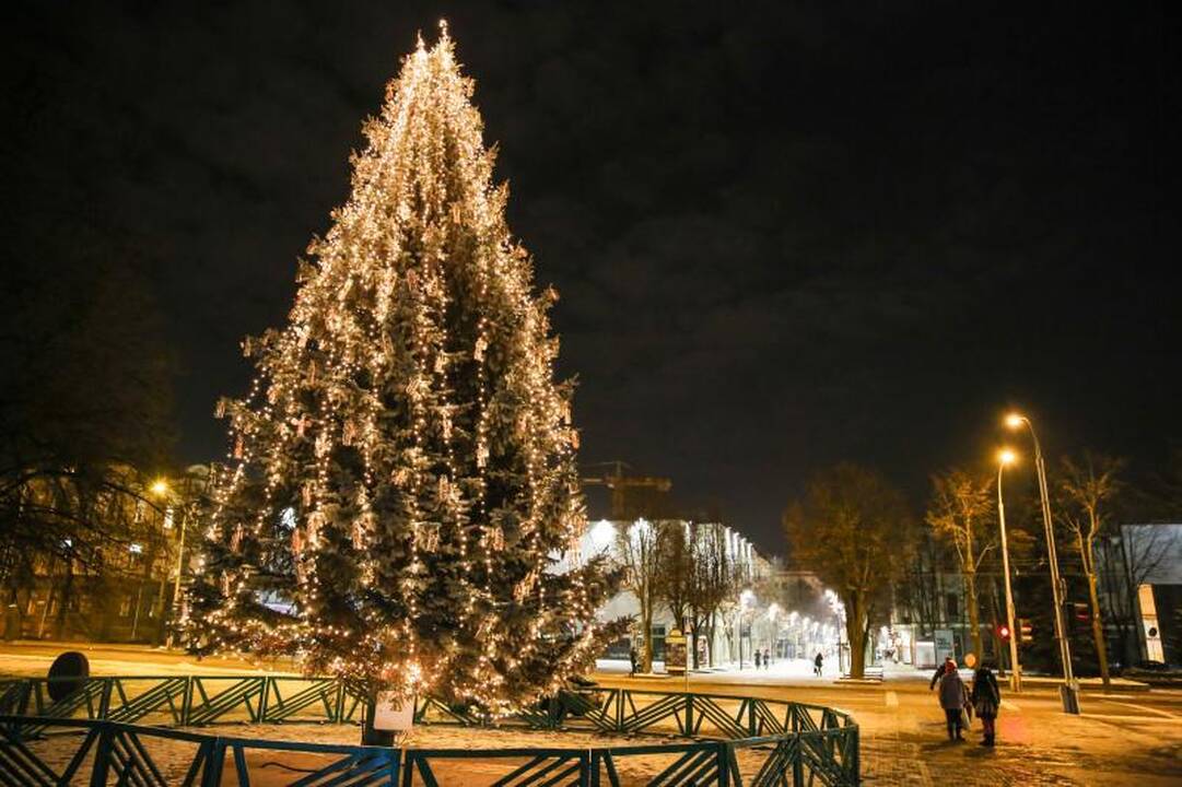 Laisvės alėjoje sužibo studentų dabinta eglė