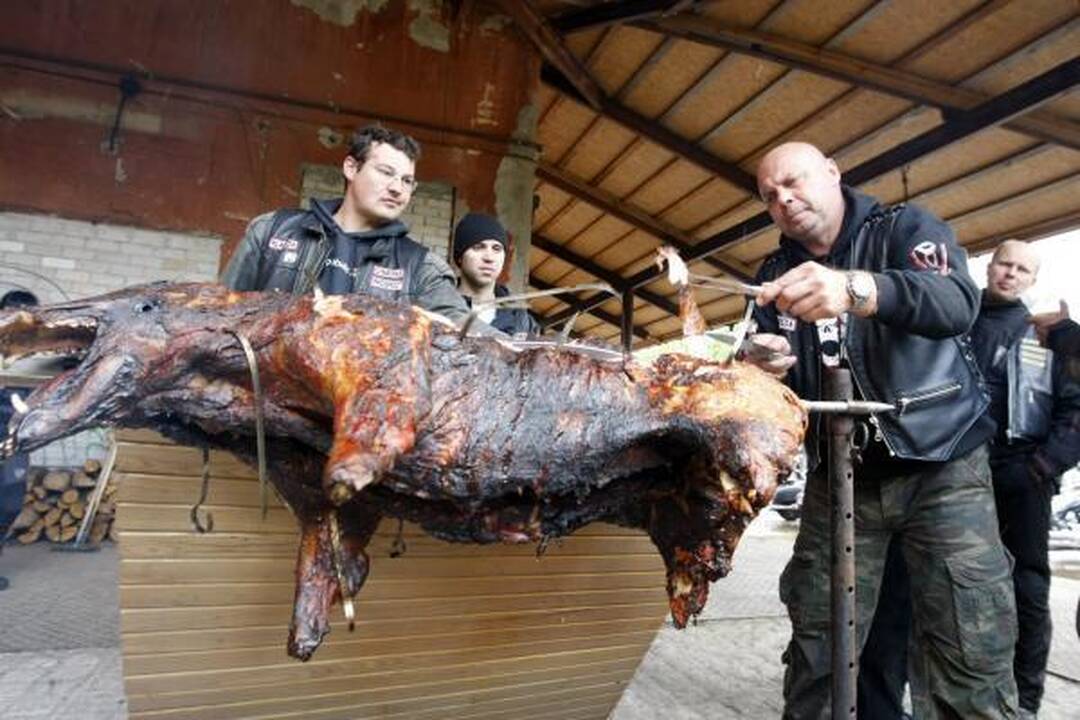 Baikerių sezono uždaryme – keptas šernas