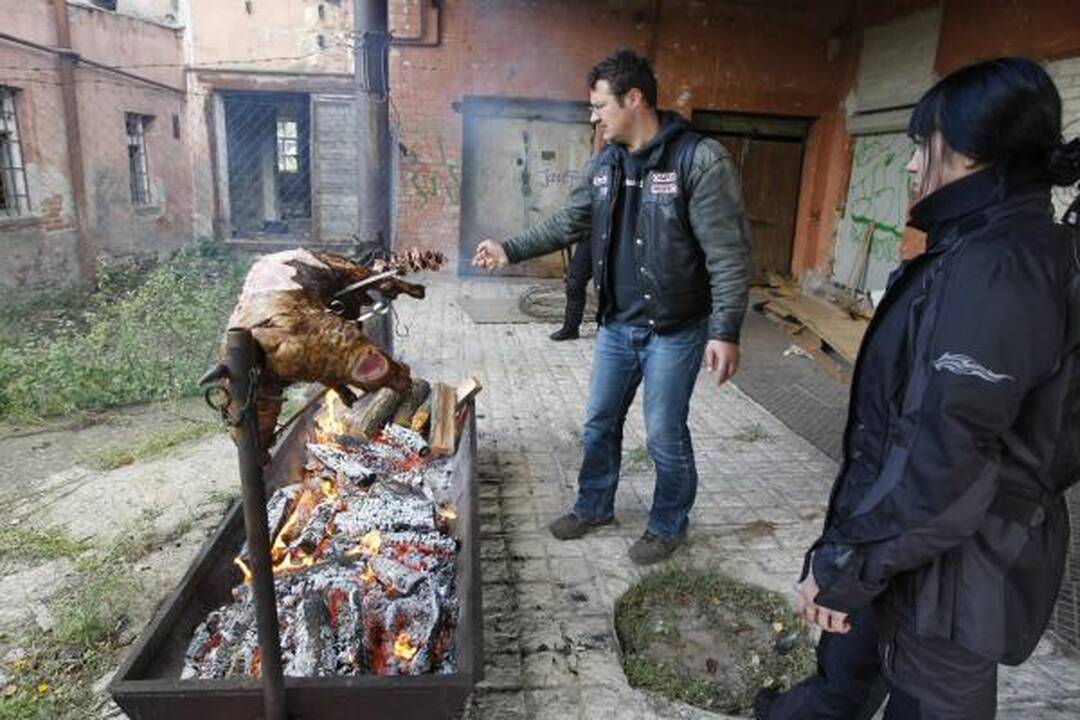 Baikerių sezono uždaryme – keptas šernas