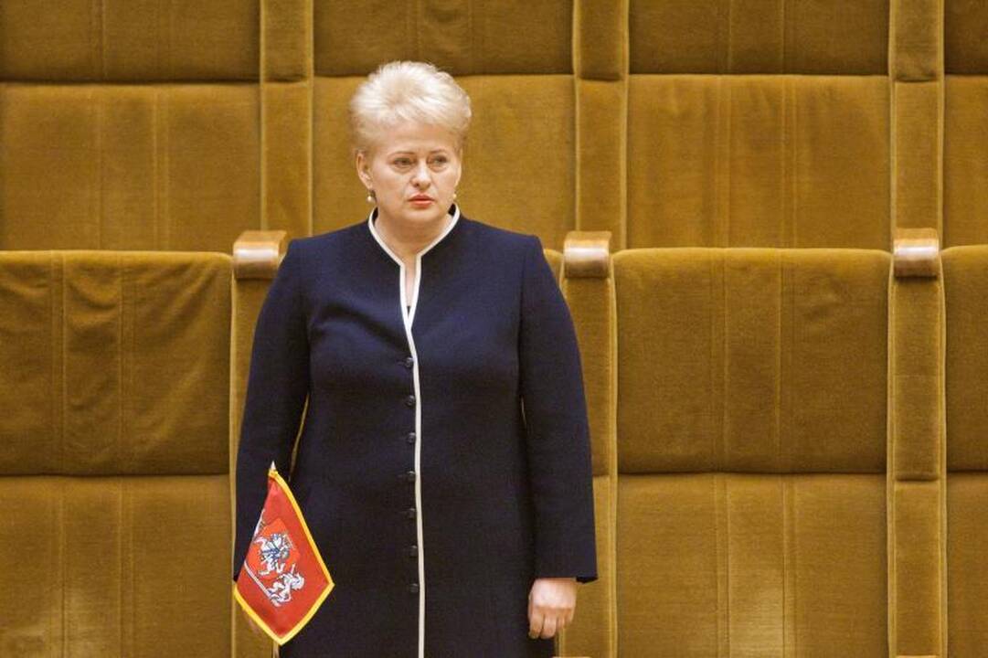V.Bogušis apie dvigubą pilietybę: neištremkime savųjų visam laikui