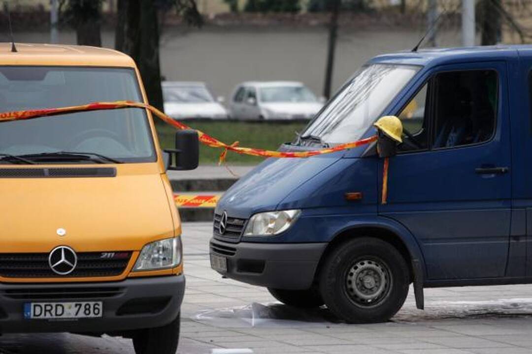 Katedros aikštėje statoma tikra eglė (papildyta)
