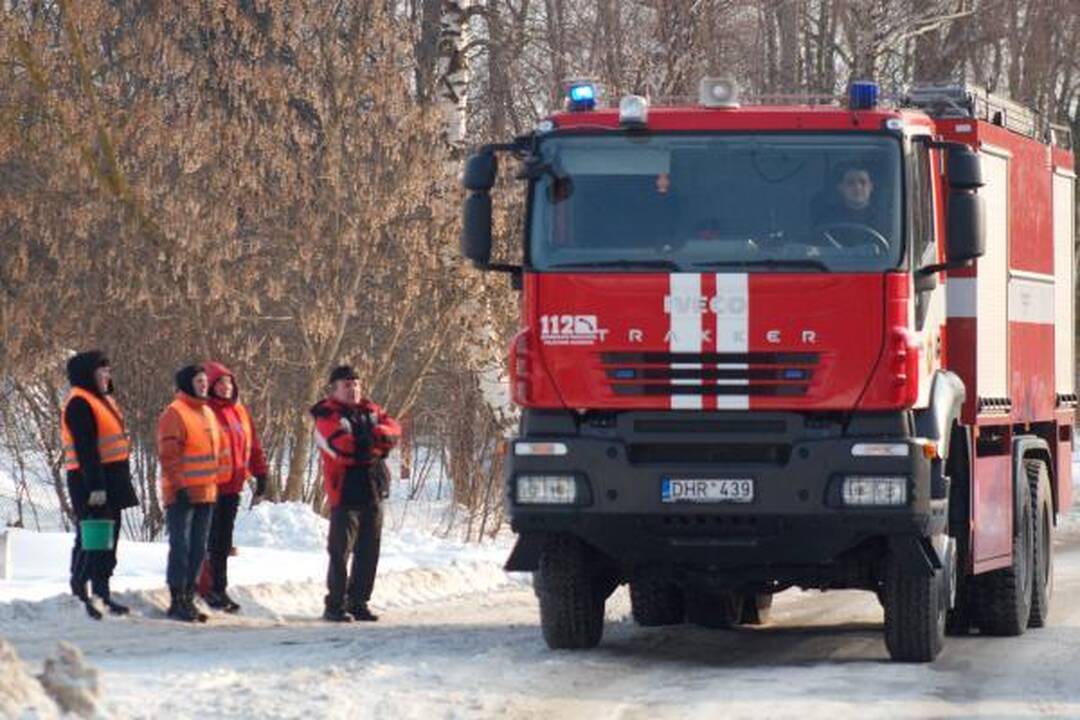 Katedros aikštėje statoma tikra eglė (papildyta)