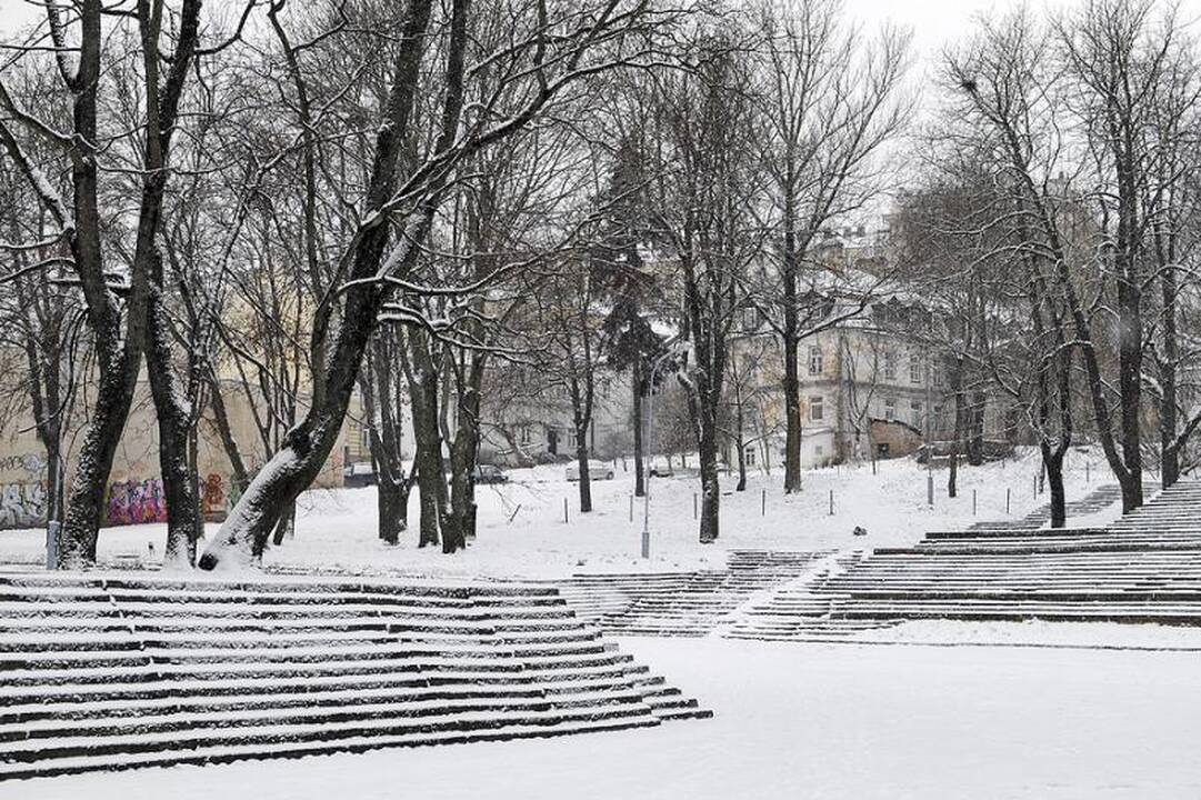Balta žiema pagaliau atėjo ir į Vilniaus kiemus