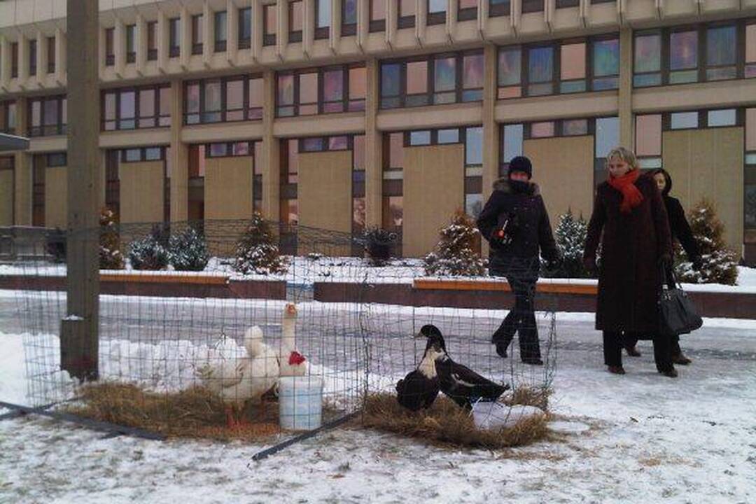 Ar norėtum važinėti „dviračiu-spermatozoidu“? 