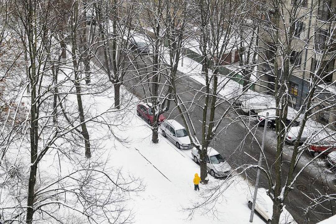 Balta žiema pagaliau atėjo ir į Vilniaus kiemus