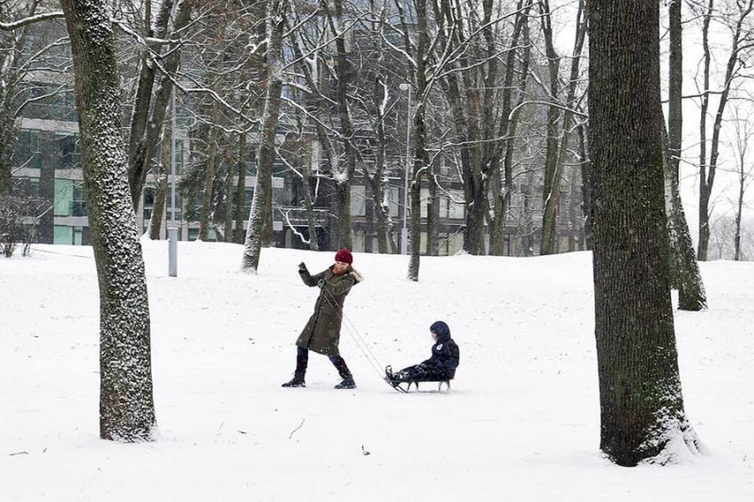 Balta žiema pagaliau atėjo ir į Vilniaus kiemus