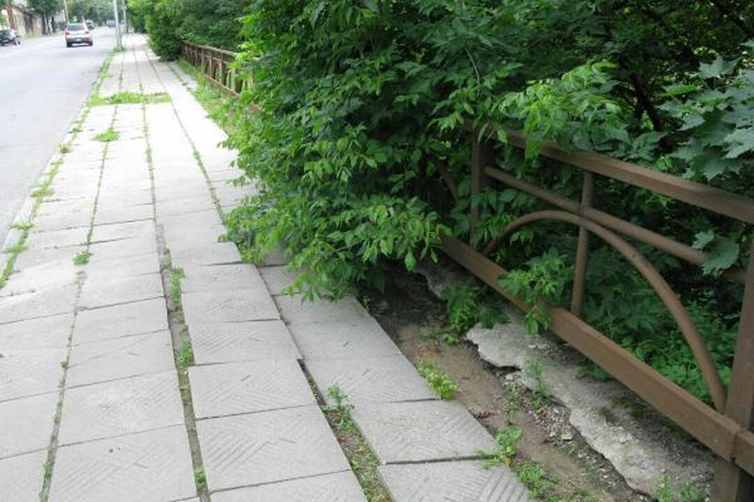 Savanorių estakados bijo troleibusų vairuotojai