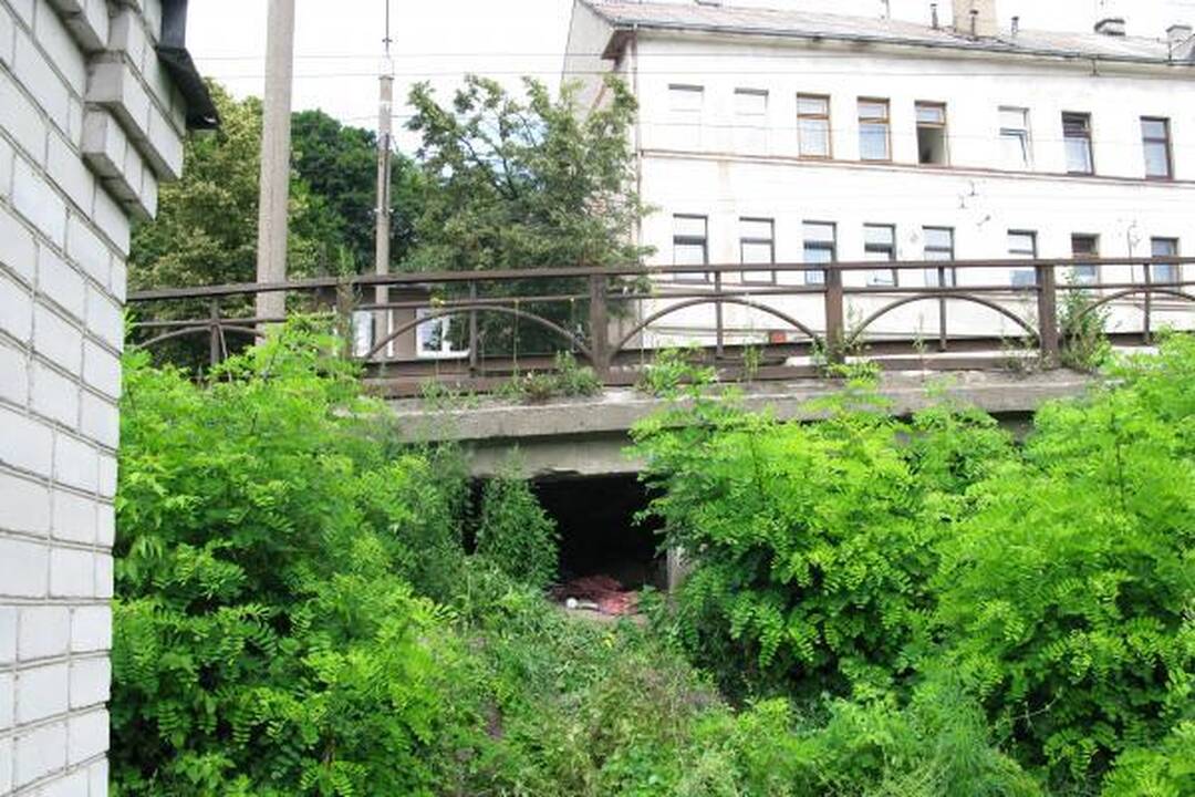 Savanorių estakados bijo troleibusų vairuotojai