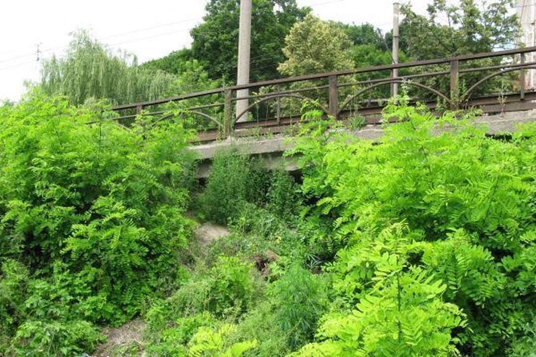 Savanorių estakados bijo troleibusų vairuotojai