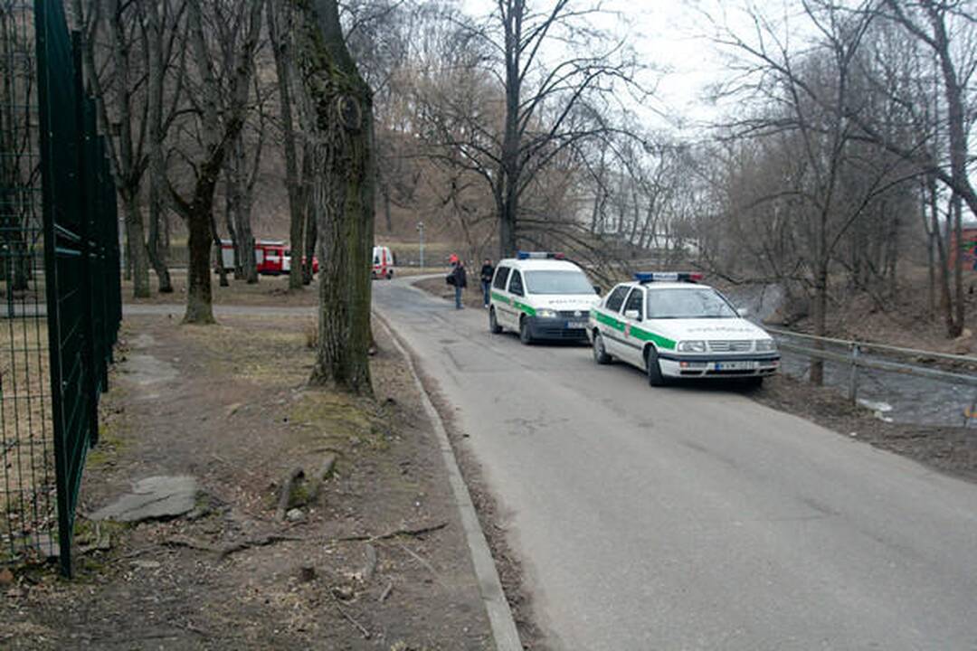 Sereikiškių parke rastas sprogmuo (papildyta)