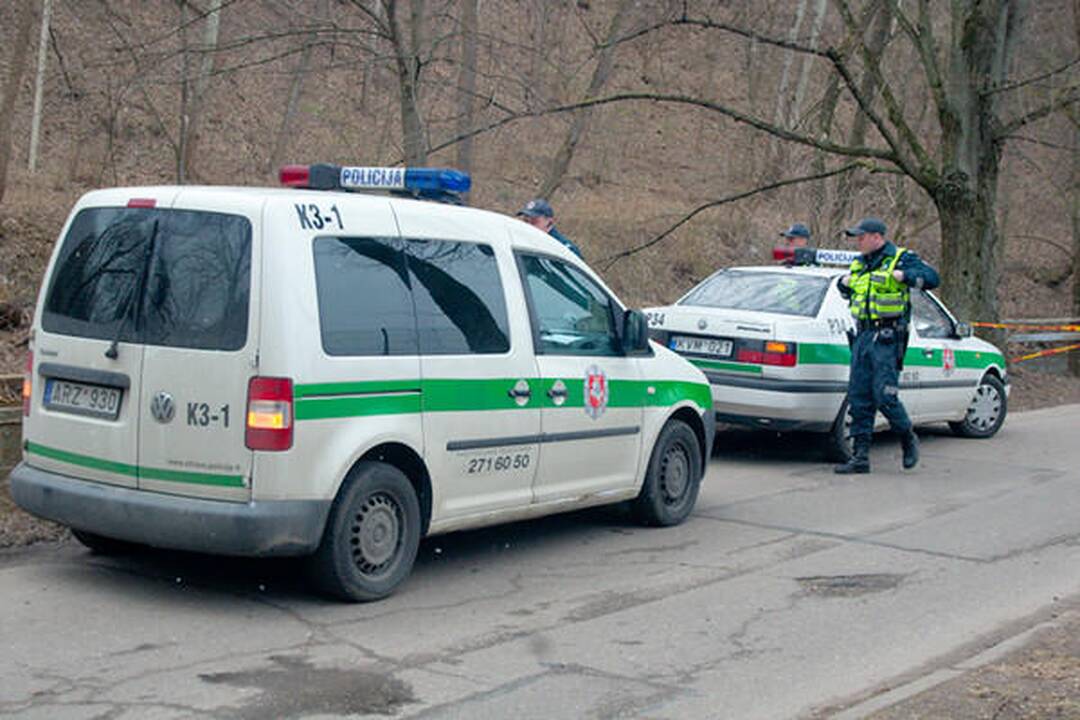 Sereikiškių parke rastas sprogmuo (papildyta)