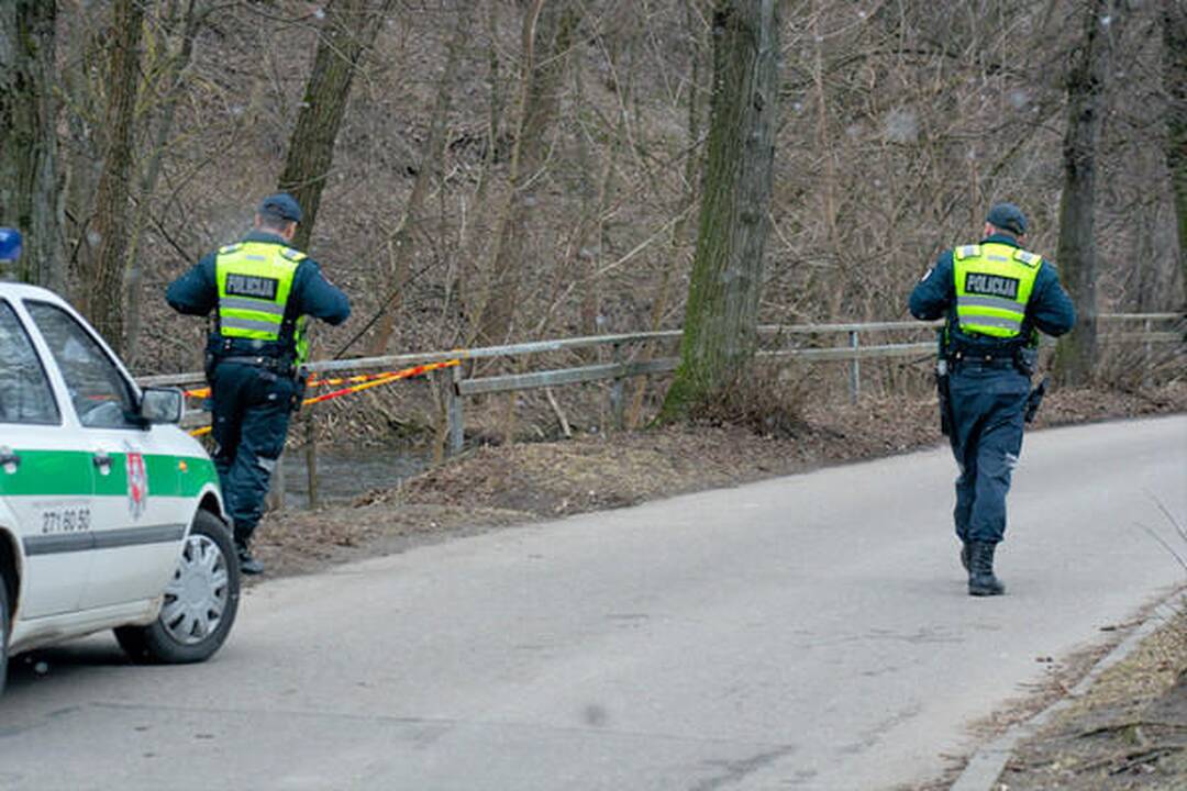 Sereikiškių parke rastas sprogmuo (papildyta)