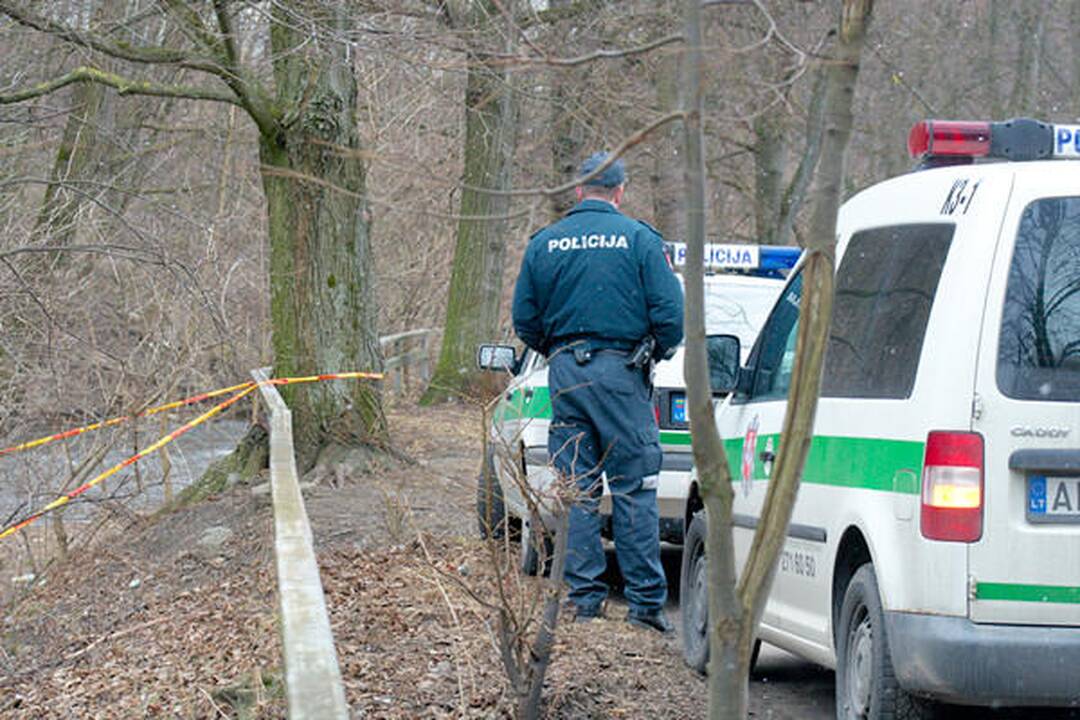 Sereikiškių parke rastas sprogmuo (papildyta)