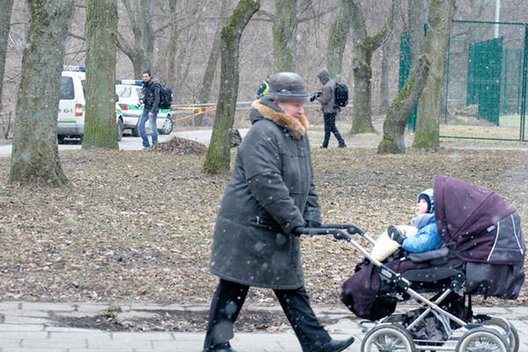 Sereikiškių parke rastas sprogmuo (papildyta)