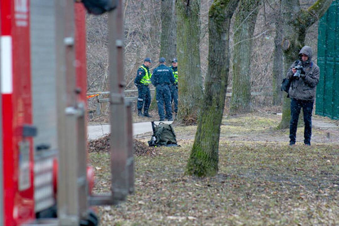 Sereikiškių parke rastas sprogmuo (papildyta)