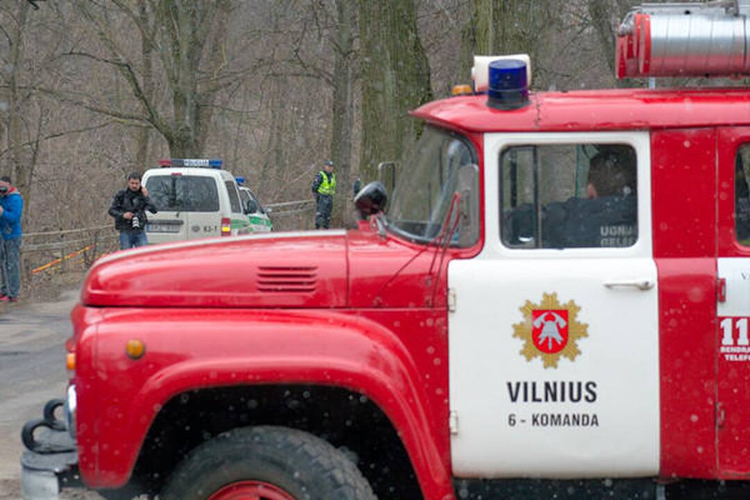 Sereikiškių parke rastas sprogmuo (papildyta)