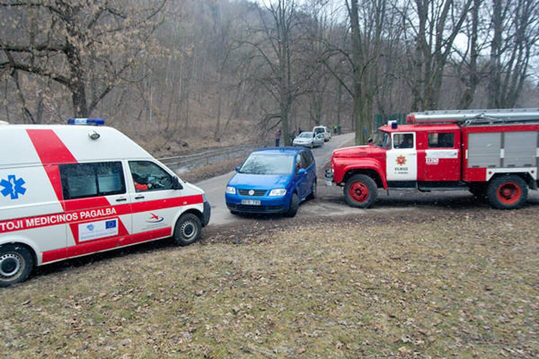 Sereikiškių parke rastas sprogmuo (papildyta)