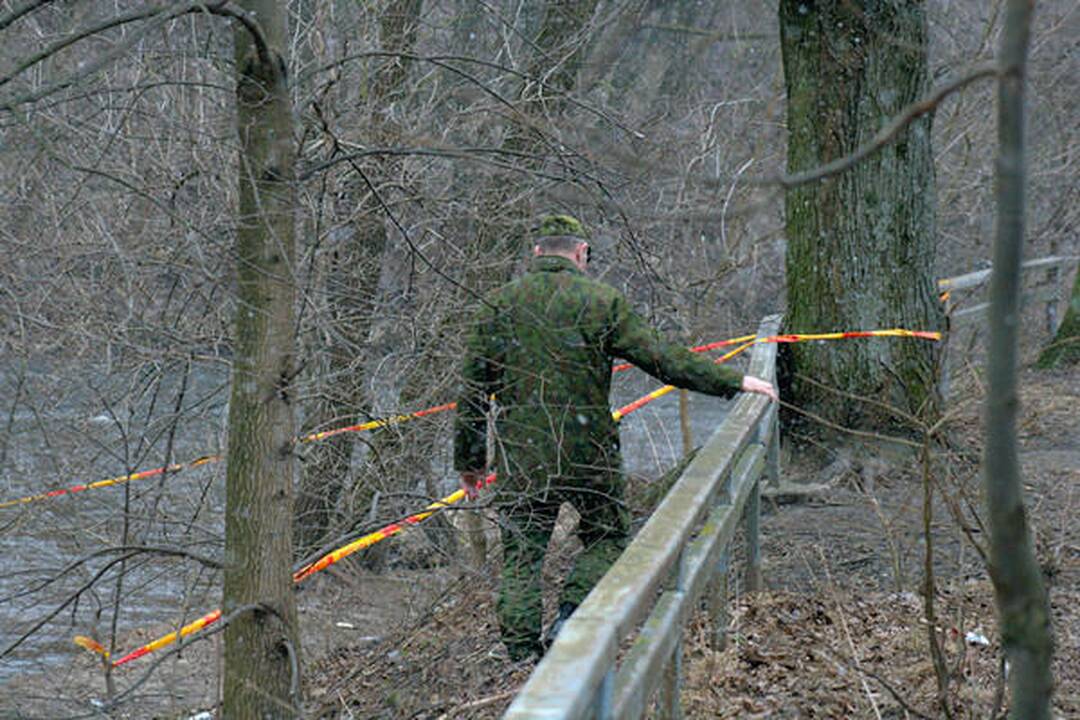 Sereikiškių parke rastas sprogmuo (papildyta)