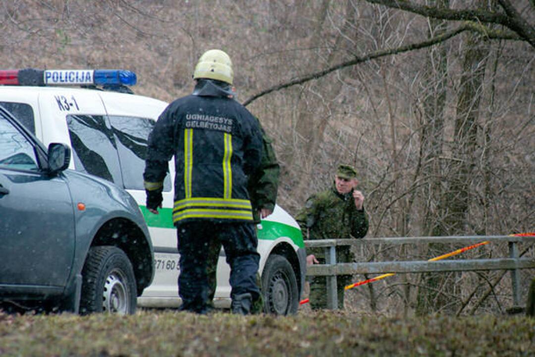 Sereikiškių parke rastas sprogmuo (papildyta)