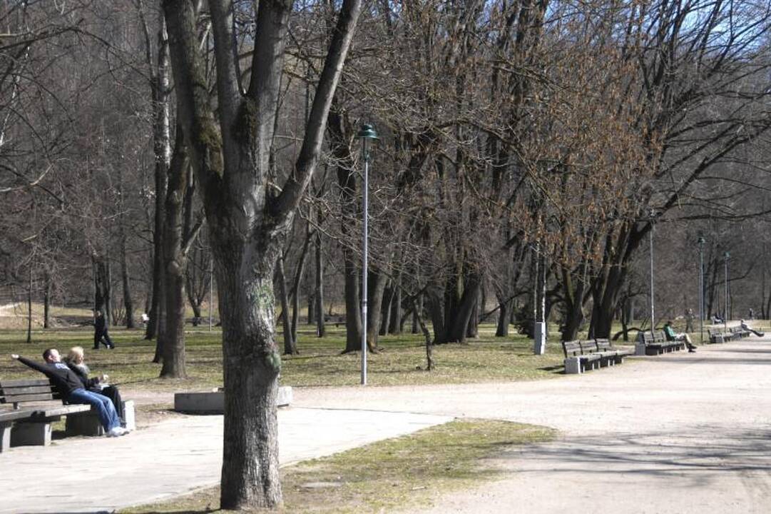 Sostinės Sereikiškių parkas jau tveriamas nuo miestiečių 