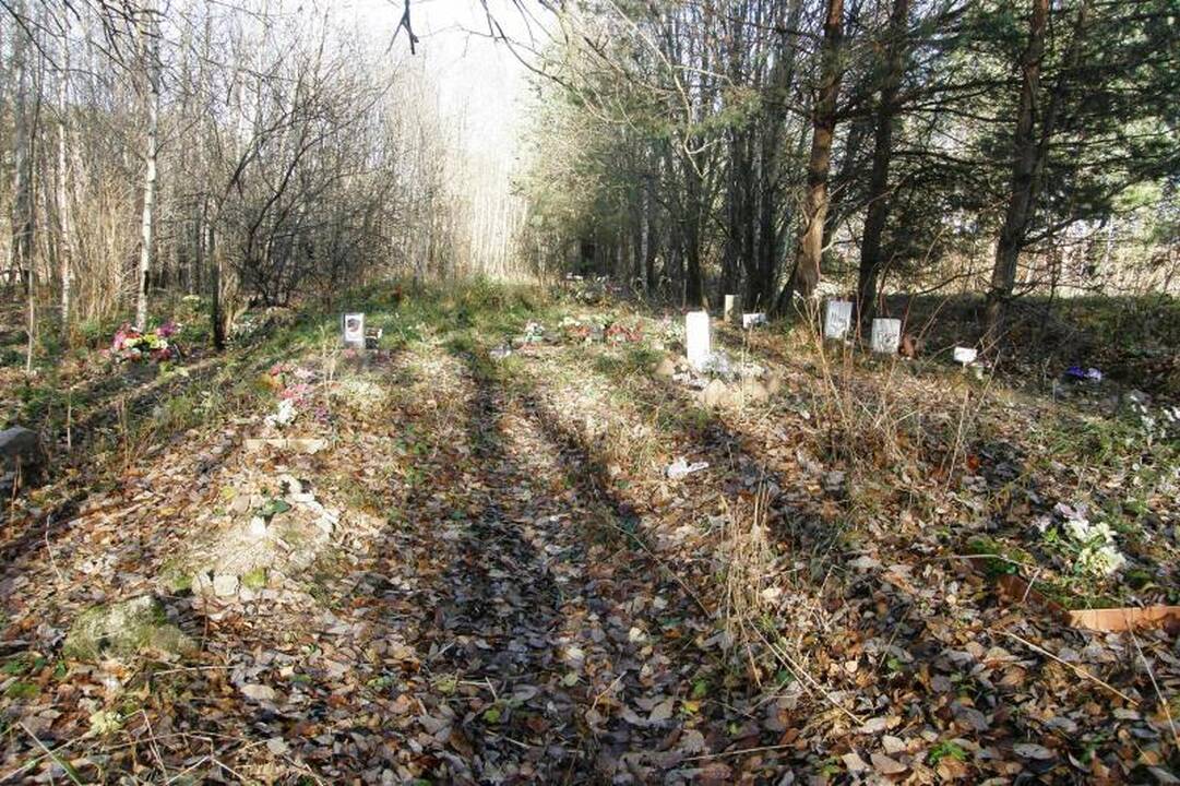 Valdžia kvies perlaidoti gyvūnus į legalias kapines
