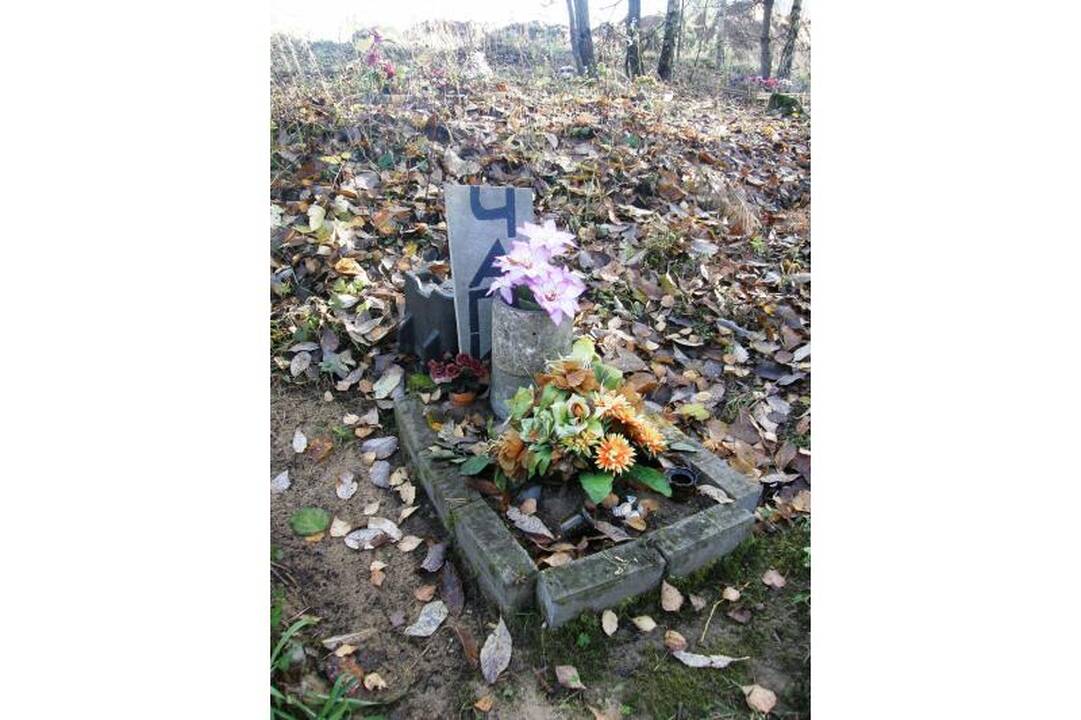 Valdžia kvies perlaidoti gyvūnus į legalias kapines