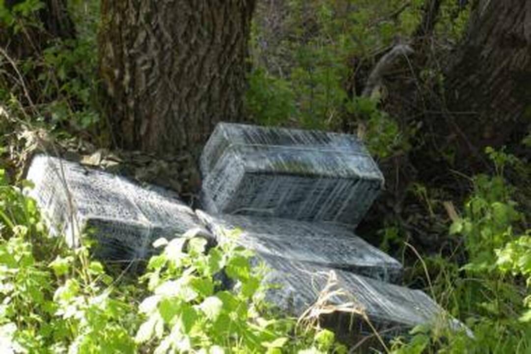 Nemuno saloje aptikti kontrabandiniai rūkalai