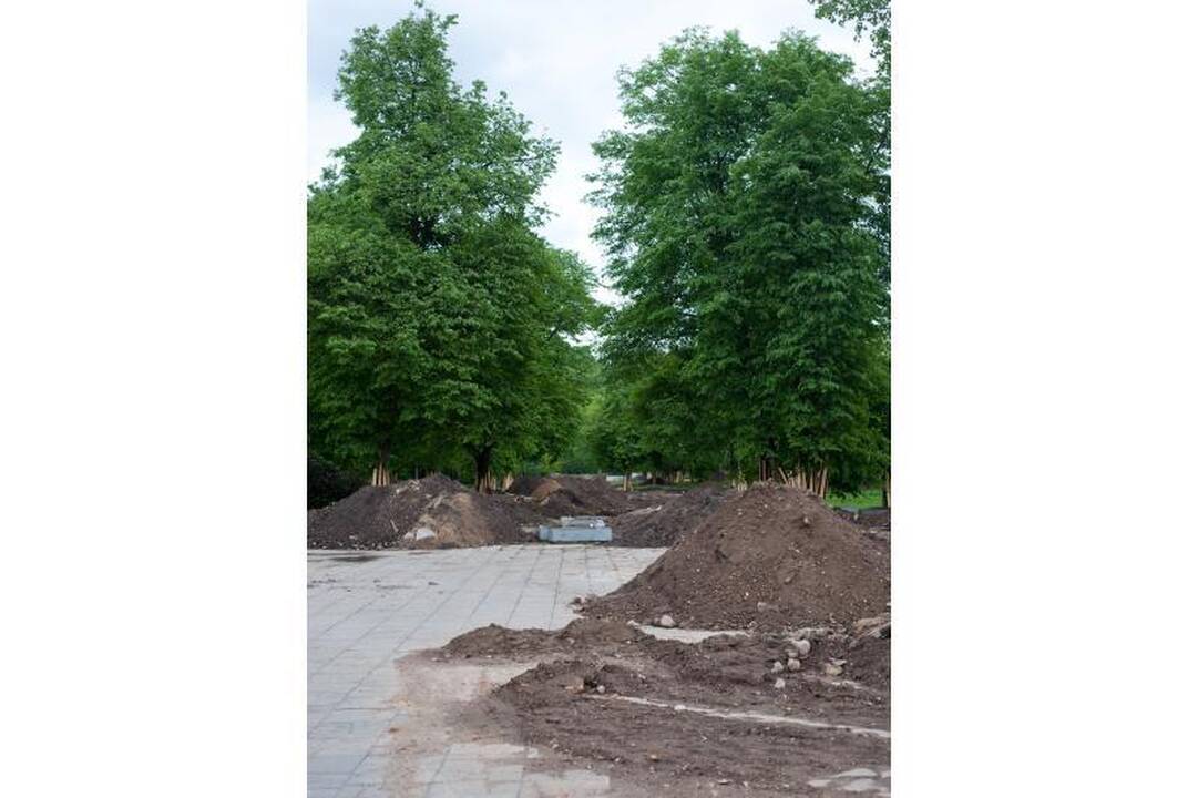 Sereikiškių parke - tinklų tiesimo darbai, archeologiniai kasinėjimai