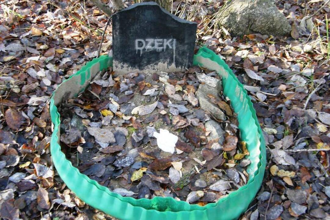 Valdžia kvies perlaidoti gyvūnus į legalias kapines