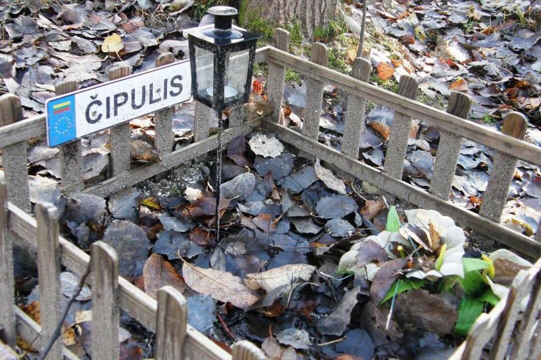 Valdžia kvies perlaidoti gyvūnus į legalias kapines