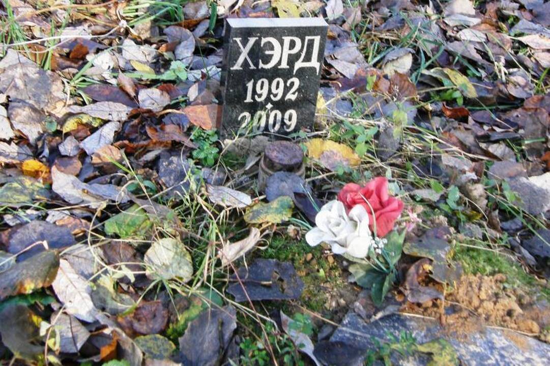 Valdžia kvies perlaidoti gyvūnus į legalias kapines