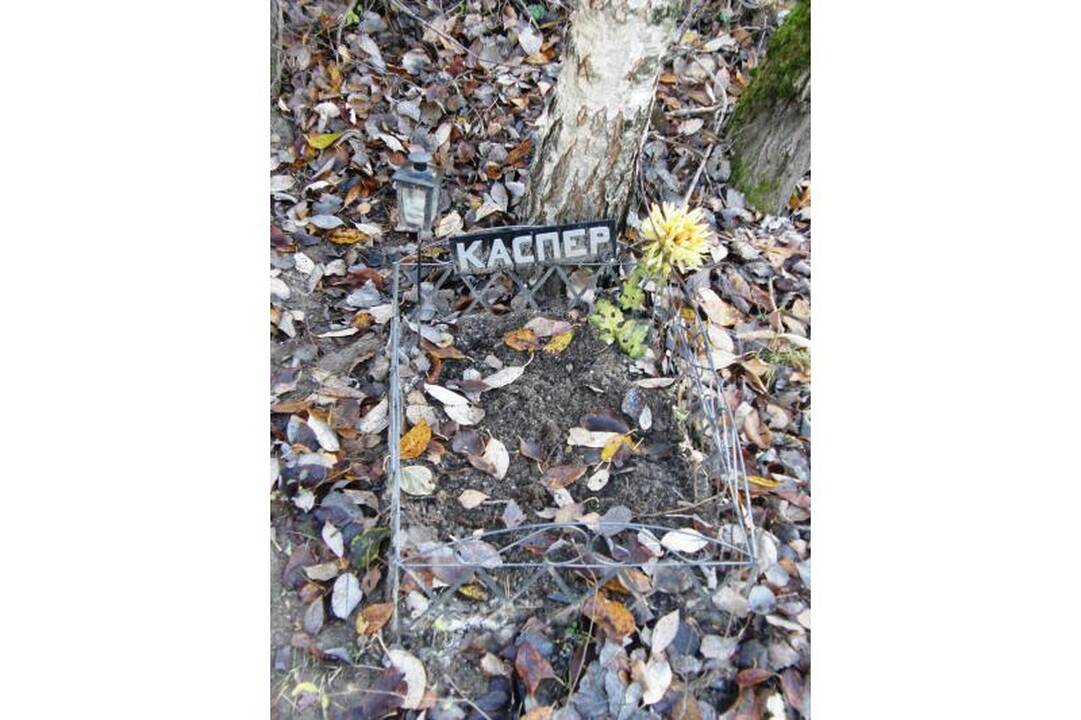 Valdžia kvies perlaidoti gyvūnus į legalias kapines