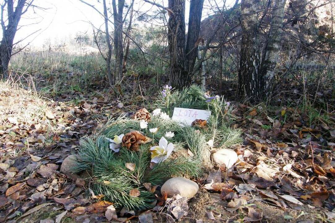 Valdžia kvies perlaidoti gyvūnus į legalias kapines