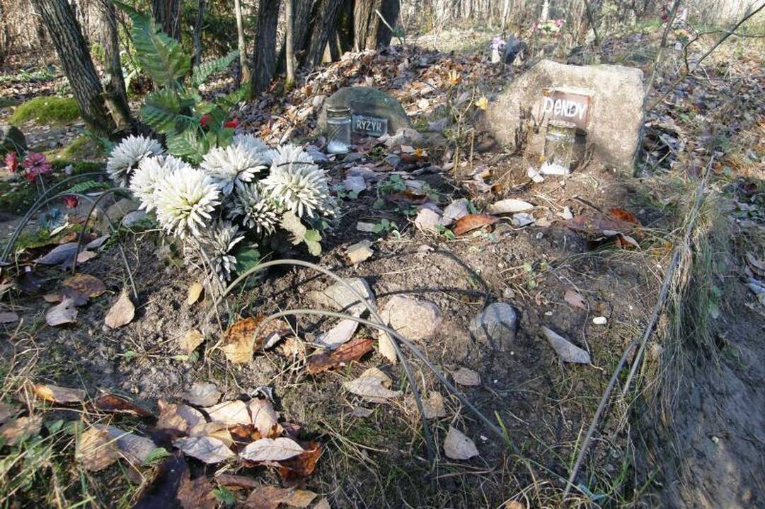 Valdžia kvies perlaidoti gyvūnus į legalias kapines