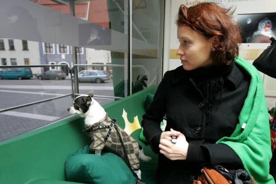 XXL sofa-muziejus jau laukia lankytojų (papildyta)